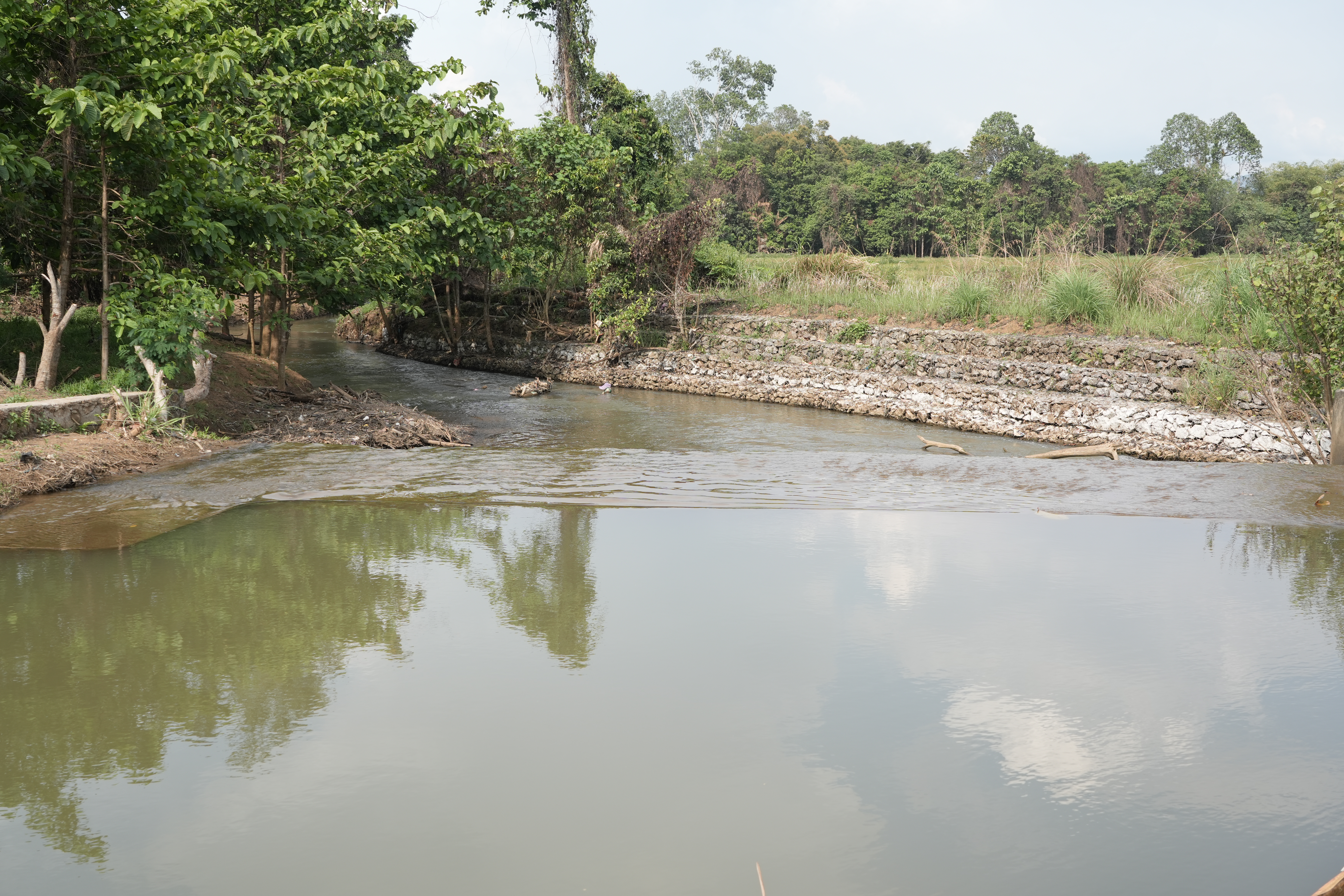 Commitment to Towuti’s Environment and Community: PT Vale Affirms Water Safety and Measured Recovery Progress
