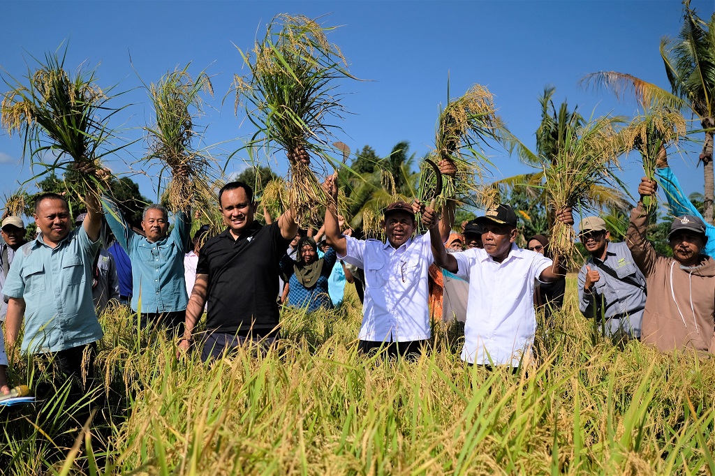 Cerita Petani Organik Binaan PT Vale: 11 Kali Panen, Hasil Makin Melimpah