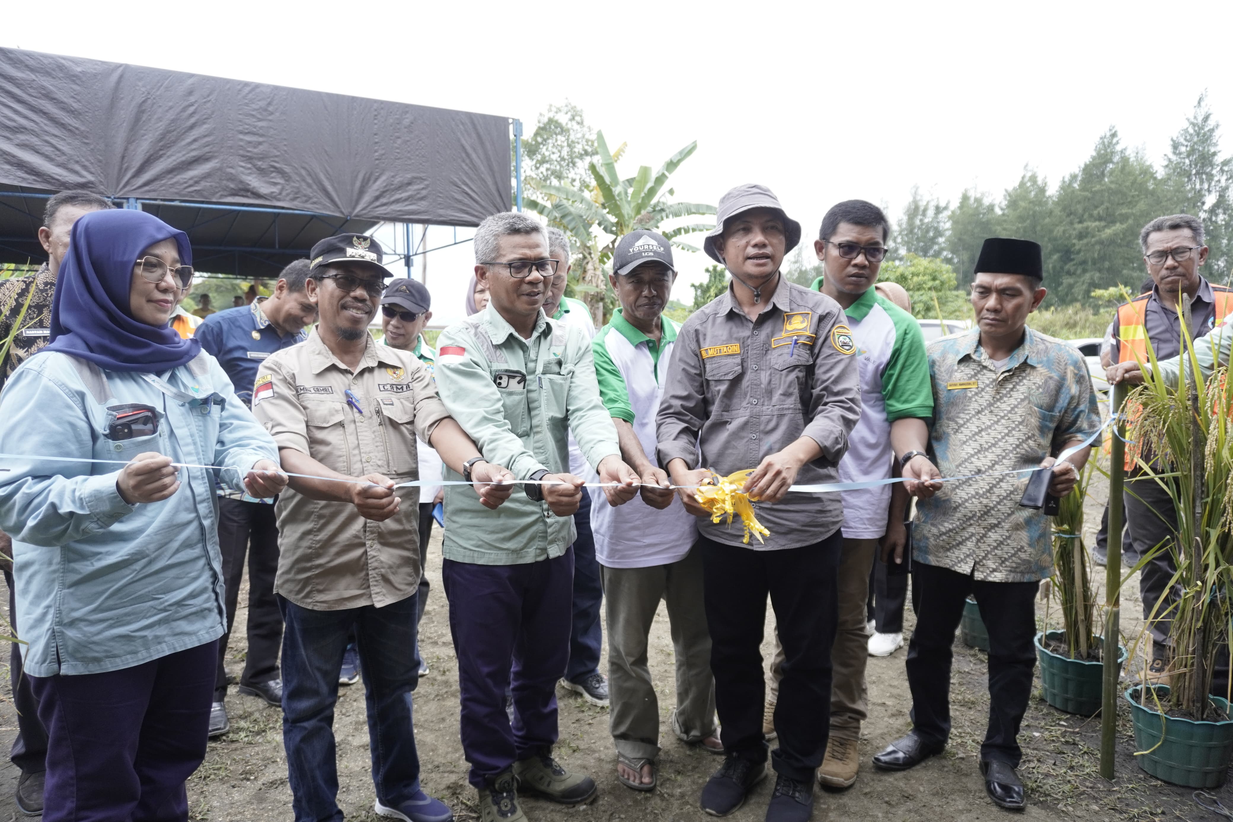 Wujudkan Petani Organik Berdaya, IGP Morowali Hadirkan Sekolah Lapang Organik