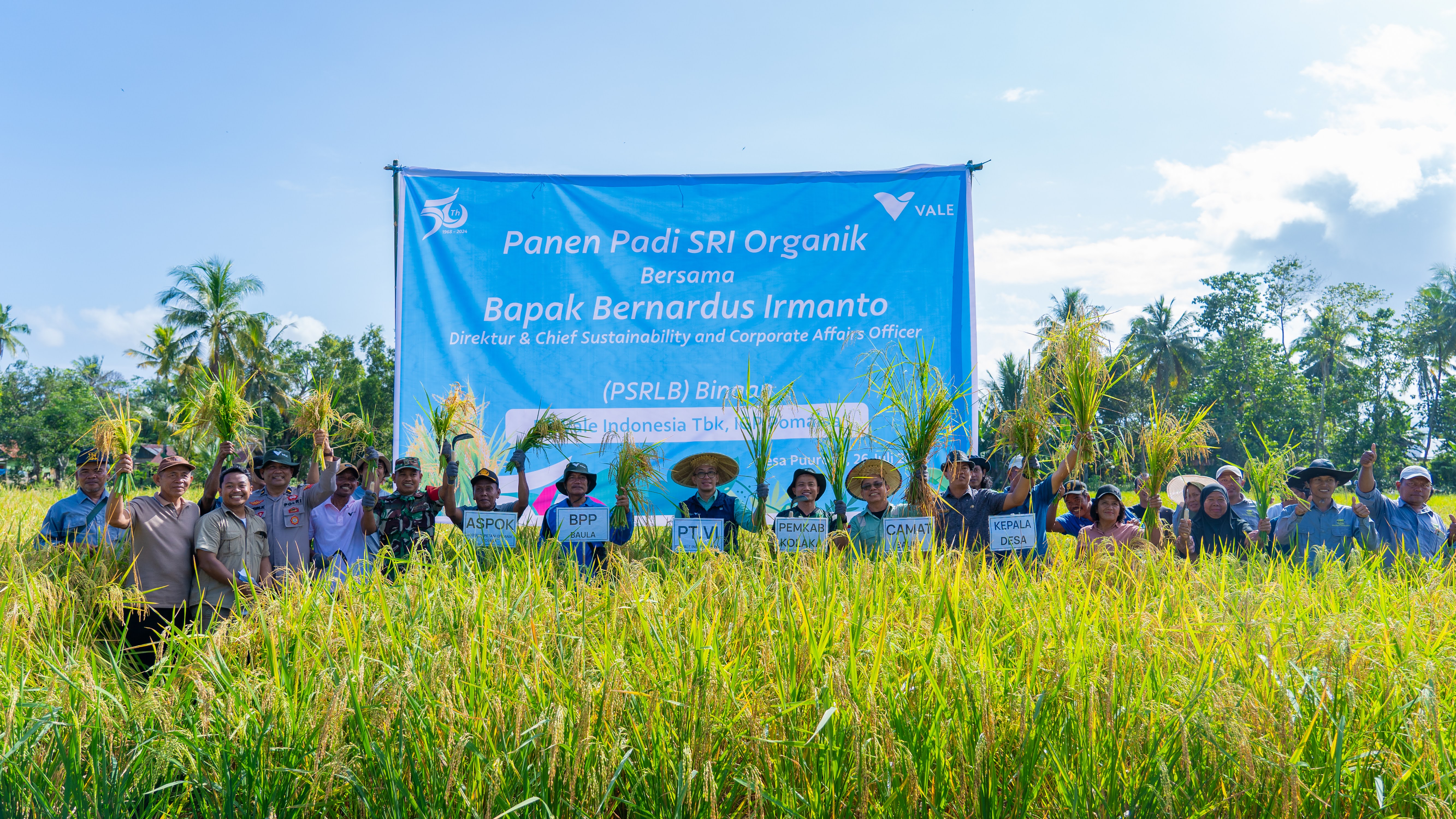Berkah SRI Organik, Hasil Petani Kolaka Binaaan PT Vale IGP Pomalaa, Melimpah