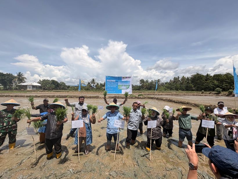 From Kolaka’s Fields to Indonesia’s Food Security: PT Vale’s Sustainable Rice Collaboration Driving Agricultural Transformation