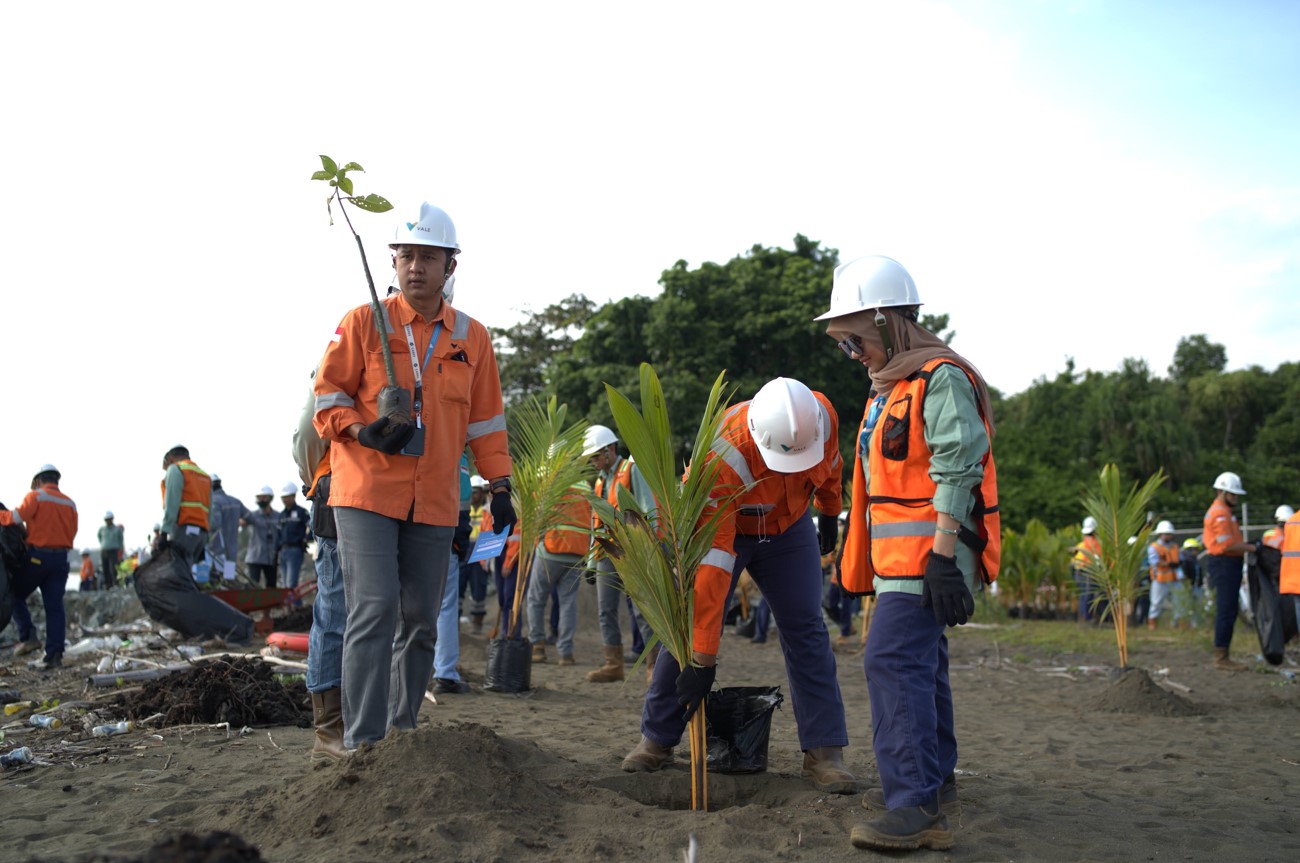 PT Vale reaffirmed its environmental commitment by conducting tree‑planting activities and coastal clean‑up actions at the Jetty Port Bahomotefe, Morowali to commemorate teh Earth Day 2026. 