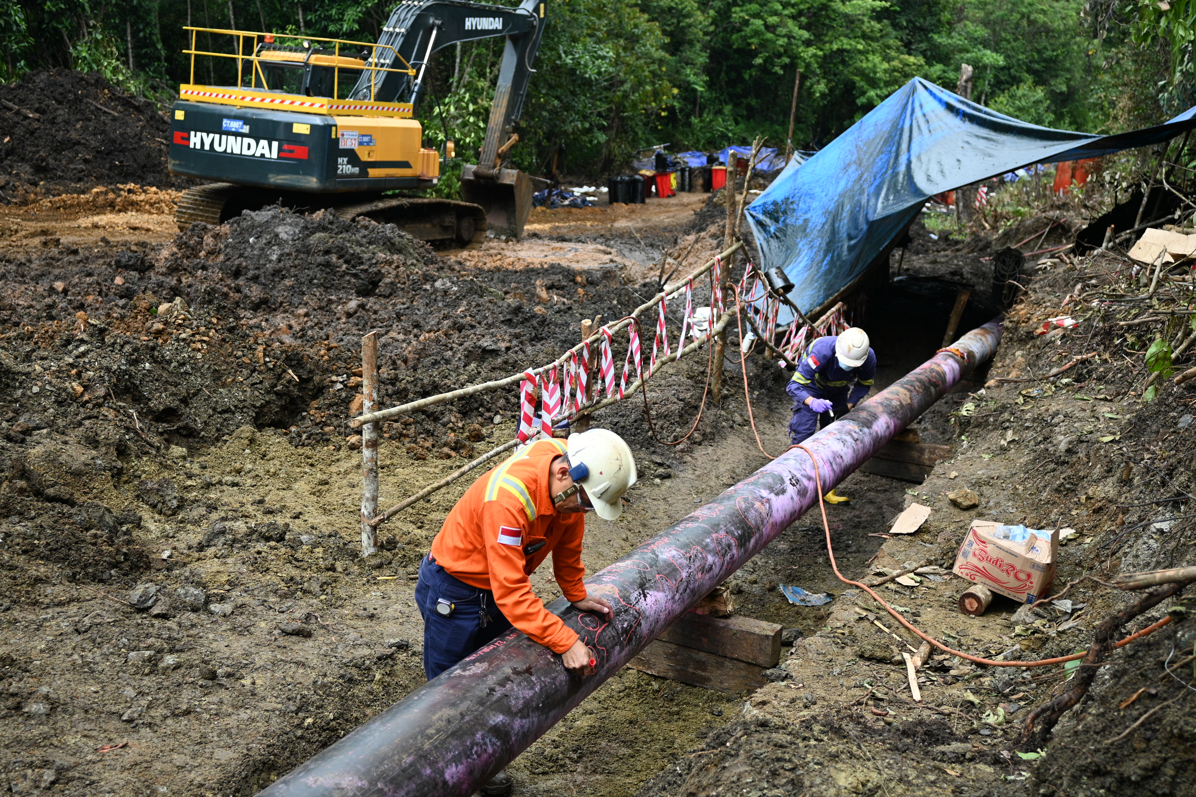 Recover Collectively, Rise Stronger: PT Vale and Towuti Community Embark on a Path of Sustainable Recovery