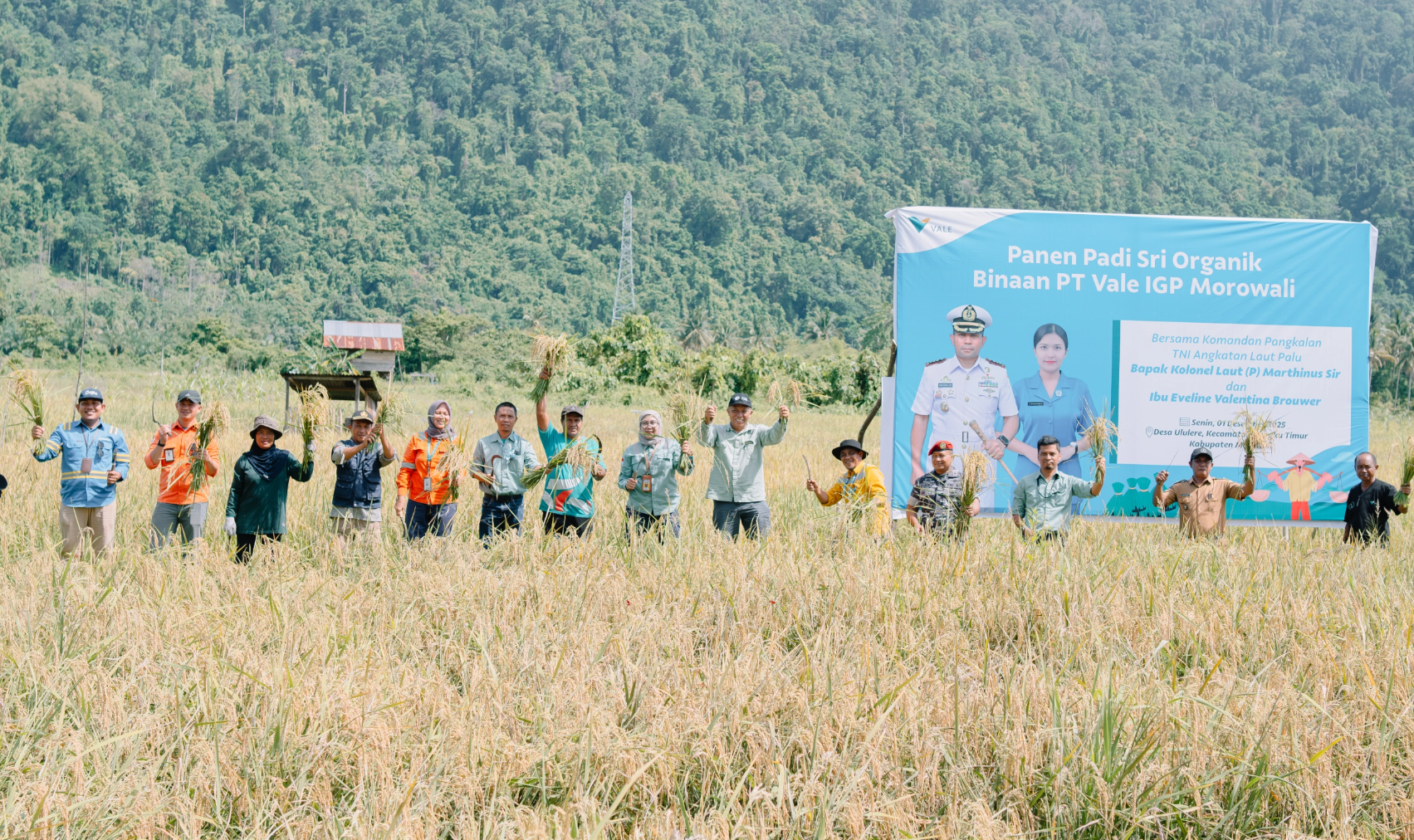 8th Organic Rice Harvest by PT Vale’s Morowali Farmers: A Strong Synergy for National Food Security