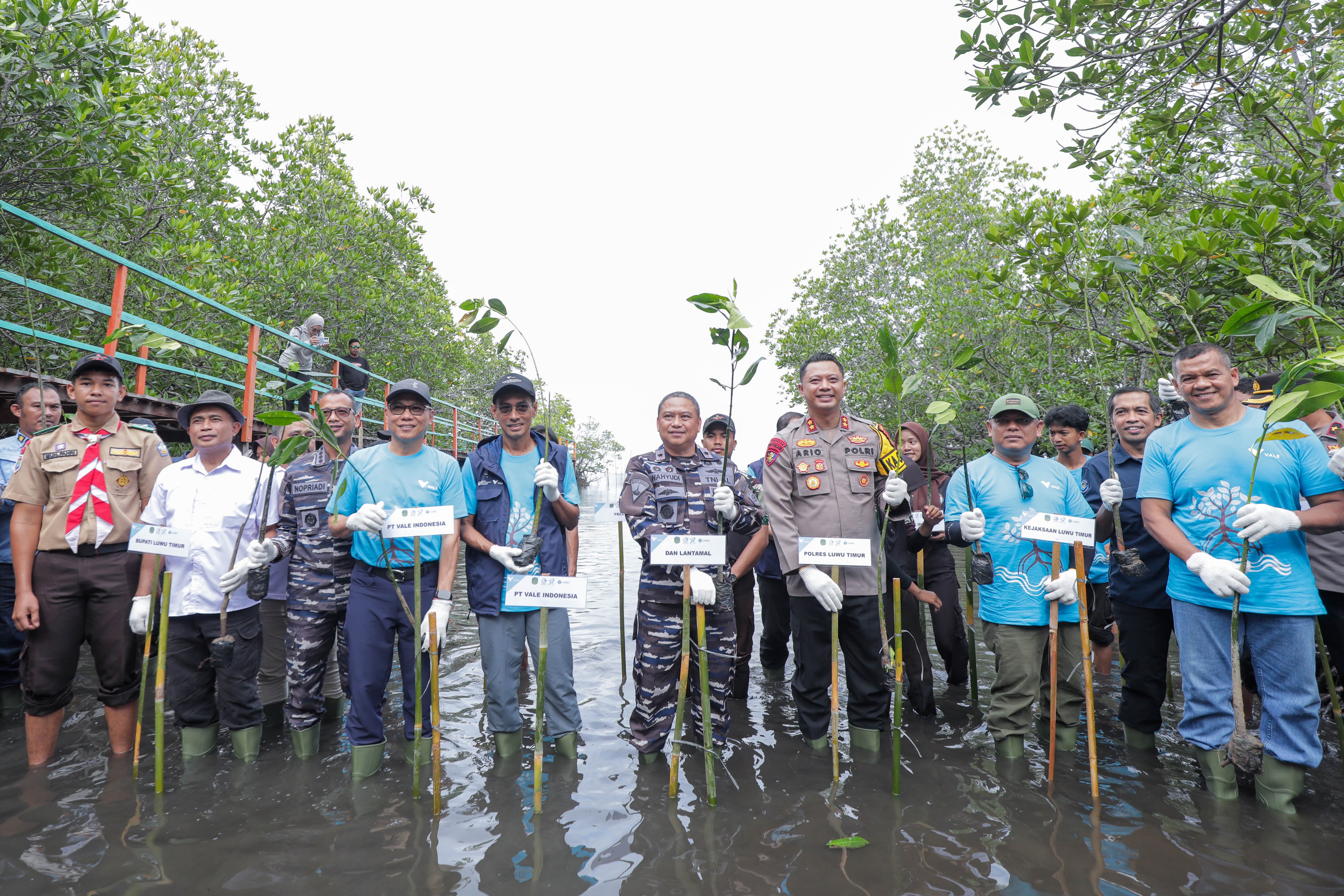Peringati Hari Mangrove Sedunia, PTVI Tanam 2.000 Mangrove dan Lakukan Restorasi Terumbu Karang untuk Pulihkan Ekosistem Pesisir Malili
